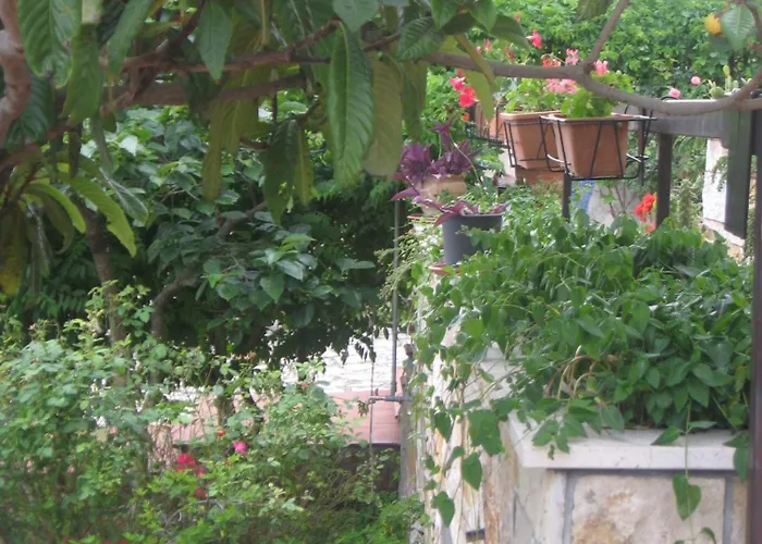 ベッド・アンド・ブレックファスト Ruberto *